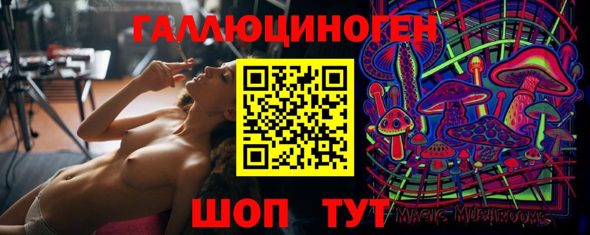 Псилоцибиновые грибы MAGIC MUSHROOMS  Вход с VPN  Псилоцибиновые грибы Psilocybine cubensis  Дивногорск 