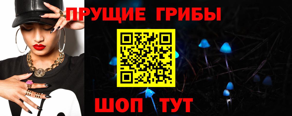 Псилоцибиновые грибы Psilocybe Дивногорск